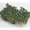 Bachmann 32643 HO Dark Green Wire Foliage (100+) - Model Train Junction: Quality Parts and Art Supplies