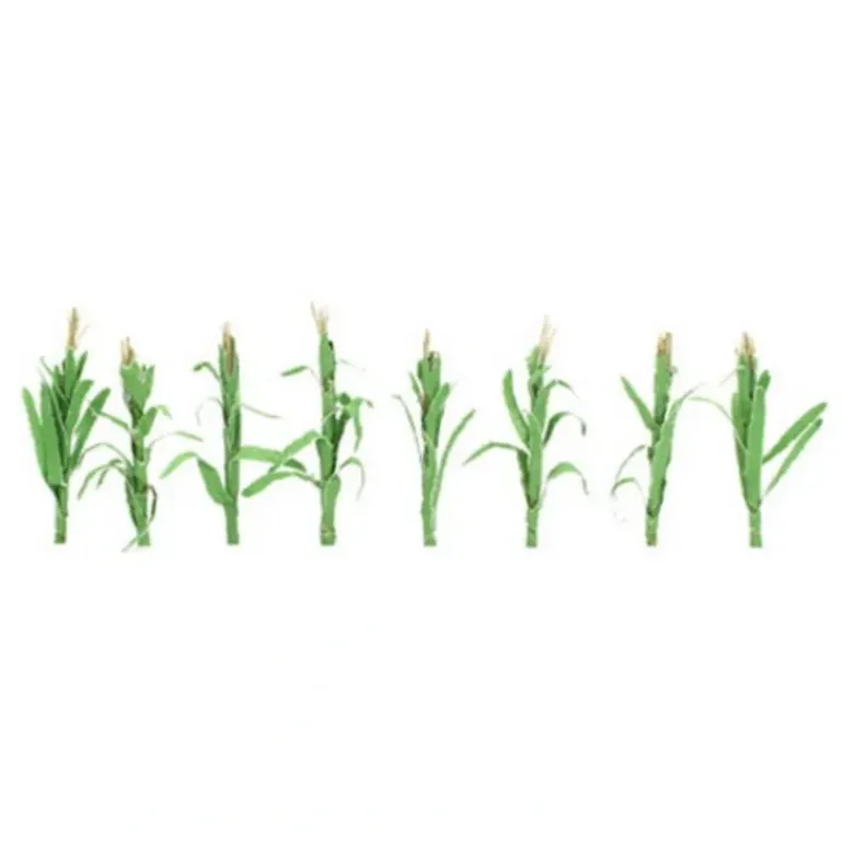 JTT Scenery Products 95511 HO 1" Corn Stalk Plants (Pack of 36) - Model Train Junction: Quality Parts and Art Supplies