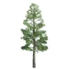 JTT Scenery Products 96026 HO 6" Professional Pine Tree - Model Train Junction: Quality Parts and Art Supplies