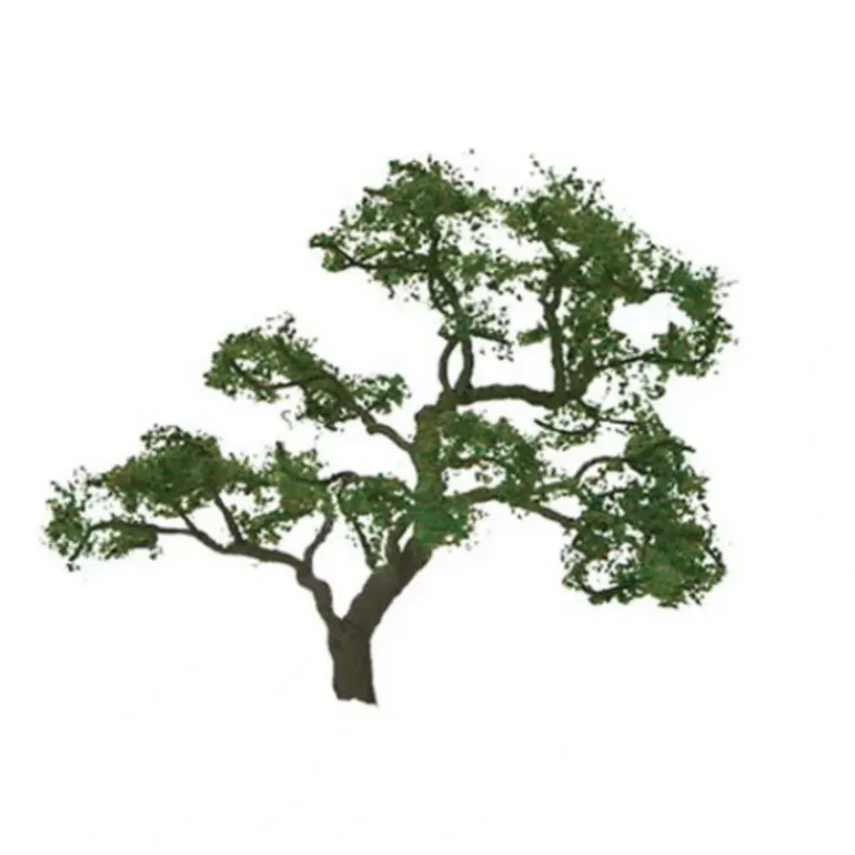 JTT Scenery Products 96059 HO 4" Professional Beech Tree - Model Train Junction: Quality Parts and Art Supplies