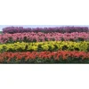 JTT Scenery Products 95510 HO 5" x 3/8" x 5/8" Flower Hedges (Pack of 8) - Model Train Junction: Quality Parts and Art Supplies