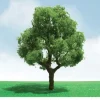 JTT Scenery Products 92301 HO 3-3.5" Pro-Elite Deciduous Tree (Pack of 2) - Model Train Junction: Quality Parts and Art Supplies