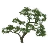 JTT Scenery Products 94430 N 2" Professional Beech Tree (Pack of 3) - Model Train Junction: Quality Parts and Art Supplies