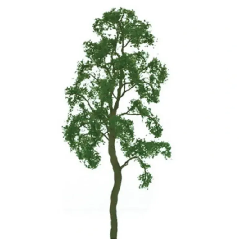 JTT Scenery Products 94418 N 3" Professional Birch Tree (Pack of 3) - Model Train Junction: Quality Parts and Art Supplies