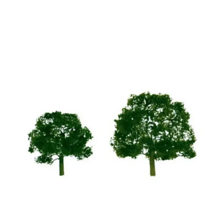 JTT Scenery Products 92053 N 3-3.5" Premium Walnut Tree (Pack of 2) - Model Train Junction: Quality Parts and Art Supplies