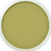 PanPastel, 26803, Artist Pastel, Bright Yellow Green Shade, 680.3 - Model Train Junction: Quality Parts and Art Supplies