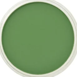 PanPastel, 26605, Artist Pastel, Chromium Green, 660.5 - Model Train Junction: Quality Parts and Art Supplies