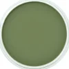 PanPastel, 26603, Artist Pastel, Chromium Green Shade, 660.3 - Model Train Junction: Quality Parts and Art Supplies