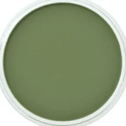 PanPastel, 26603, Artist Pastel, Chromium Green Shade, 660.3 - Model Train Junction: Quality Parts and Art Supplies