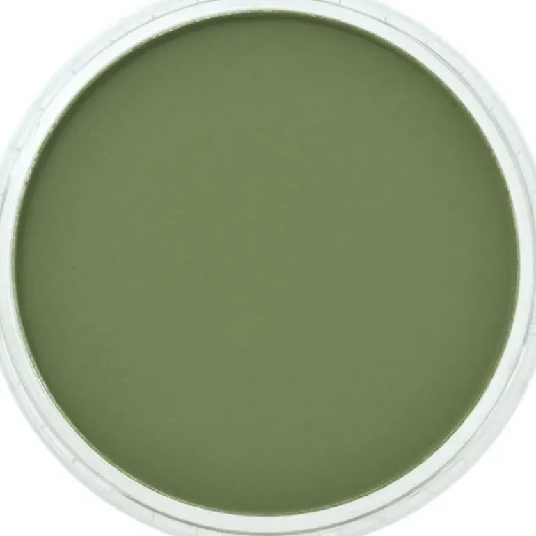 PanPastel, 26603, Artist Pastel, Chromium Green Shade, 660.3 - Model Train Junction: Quality Parts and Art Supplies