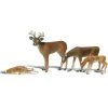 Woodland Scenics A2543 G Scenic Accents Buck & Family Figures (Set of 4) - Model Train Junction: Quality Parts and Art Supplies