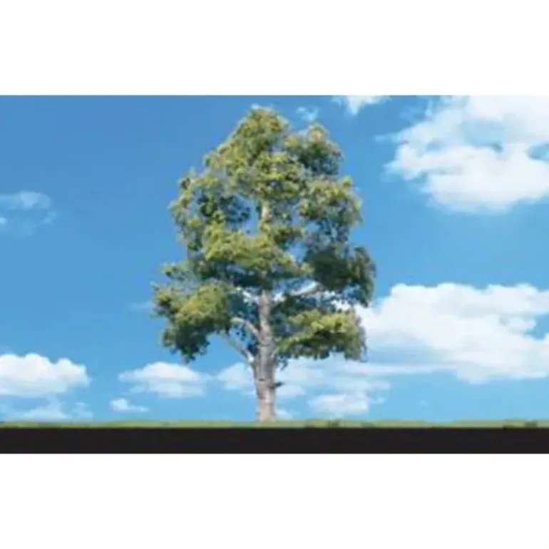 Woodland Scenics TR3537 N/HO/O 6"-7" Waters Edge Deciduous Trees (Pack of 2) - Model Train Junction: Quality Parts and Art Supplies