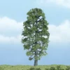 Woodland Scenics TR1618 4" Basswood Ready-Made Premium Tree - Model Train Junction: Quality Parts and Art Supplies
