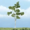 Woodland Scenics TR1616 4" Paper Birch Ready-Made Premium Tree - Model Train Junction: Quality Parts and Art Supplies