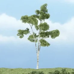 Woodland Scenics TR1616 4" Paper Birch Ready-Made Premium Tree - Model Train Junction: Quality Parts and Art Supplies