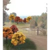 Woodland Scenics TR1576 2" - 3" Fall Colors Deciduous Trees (Pack of 23) - Model Train Junction: Quality Parts and Art Supplies