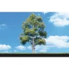 Woodland Scenics TR3531 0.75" - 1.25" Waters Edge Deciduous Trees (Pack of - Model Train Junction: Quality Parts and Art Supplies