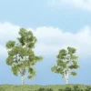 Woodland Scenics TR1603 3" - 2.25" Sycamore Ready-Made Premium Trees (Pack of 2) - Model Train Junction: Quality Parts and Art Supplies