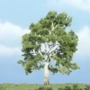 Woodland Scenics TR1609 3.87" Sycamore Ready-Made Premium Tree - Model Train Junction: Quality Parts and Art Supplies
