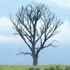 Woodland Scenics TR1614 4.25" Dead Maple Ready-Made Premium Tree - Model Train Junction: Quality Parts and Art Supplies
