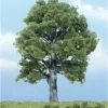 Woodland Scenics TR1620 5" Oak Ready-Made Premium Tree - Model Train Junction: Quality Parts and Art Supplies