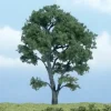Woodland Scenics TR1610 4.50" Maple Ready-Made Premium Tree - Model Train Junction: Quality Parts and Art Supplies